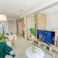 Cần Bán Gấp Căn 2 Phòng Ngủview Triệu Đô The Sóng Vũng Tàu, Giá Bán 2.3 Tỷ - 50M2, Hl 0775707172 Phạm Yến