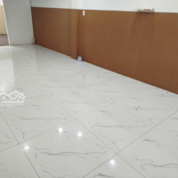 Cho Thuê Mặt Tiền Kinh Doanh Trịnh Quang Nghị