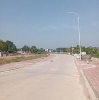 Đất Đấu Giá 241m2 Tân Trung Chùa- Hiền Ninh - Sóc Sơn - Hà Nội. Đường Vành Đai 4, Chỉ 2x tr, LH:0383282685