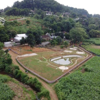 Chính Chủ Cần Bán Lô Đất View Siêu Đẹp Tại Vân Hòa- Ba Vì , Diện Tích : 662M ²