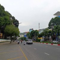 Cho Thuê Toà Nhà Mặt Tiền Lê Hồng Phong P4 Tpvt,1T5L Có Thang Máy,Phù Hợp Ngân Hàng, Tt Anh Ngữ
