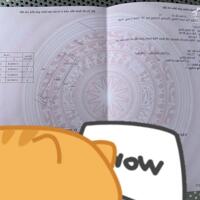 Bán nhà mới xây tặng full nội thất cao cấp Khu dân cư Phường Trường An, thành phố Vĩnh Long