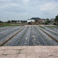 Cần Tiền Bán Gấp Trong Tuần Mảnh Đất Đẹp Vị Trí Đắc Địa Mặt Biển Nam Định
