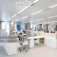 Hạ 30 Tỷ Về 89 Tỷ - Bán Tòa Buildingmặt Tiềncộng Hòa, Tân Bình - 12 X 25M - Hầm 5 Tầng - Hđ: 350 Triệu