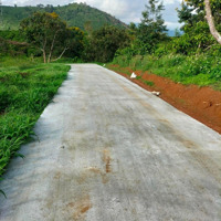 Bán Đất Hùng Vương, Đinh Lạc, Di Linh, Lâm Đồng, 2 Tỷ, 5160M2 Đẹp Xuất Sắc