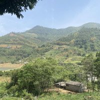 5Ha Rsx Có 100 Thổ Cư Tại Liên Sơn, View Cao, Cảnh Đẹp, Thoáng Mát. Có Thể Mua Thêm