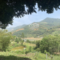 5Ha Rsx Có 100 Thổ Cư Tại Liên Sơn, View Cao, Cảnh Đẹp, Thoáng Mát. Có Thể Mua Thêm