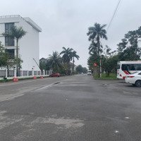 Chuyển Nhượng 300M2 Đất Nền Dự Án Mê Linh - Anh Dũng - Dương Kinh