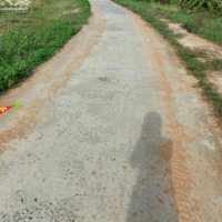 Cần Bán 2 Sào Sổ Cây Trồng Lô Góc 2 Mặt Tiền Đường Bê Tông Trục Chính, Km7 Hàm Chính- Hàm Thuận Bắc