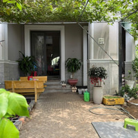Bán Nhà Phố Căn Góc Amelie Phú Mỹ Hưng, 3 Mặt Thoáng, View Đẹp, Giá Bán 19.5 Tỷdiện Tích281M²