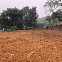 Chính Chủ, Bán Đất 825M2 Đối Diện Sâ Golf Tam Đảo Tại Xã Hồ Sơn, Tam Đảo, Vĩnh Phúc, 5,2 Tỷ Vnd