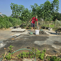 Chính Chủ Bán Lô Đất Ngay Trường Đh Fpt-Miễn Qua Môi Giới-0384389989