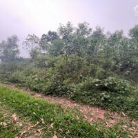 BÁN ĐẤT ĐƯỜNG BẮC SƠN, ĐƯỜNG SÂN VẬN ĐỘNG THÁI NGUYÊN 50M, DT 4.952M2 CÓ 900M2 THỔ CƯ, SĐT 0962259168