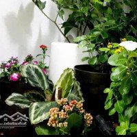 Bán Căn Góc Tòa Trung Rice City Tây Nam Linh Đàm - Căn Góc Cực Thoáng