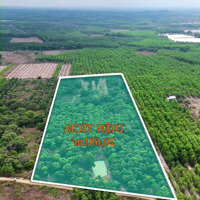 Bán Đất 2Ha Tại Đường 39, Suối Cao, Xuân Lộc, Đồng Nai, 20 Tỷ, 20681M2