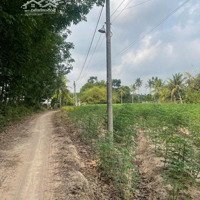 Đất Kp Ninh Phú Phường Ninh Sơn, Tp Tây Ninh, 5X52M
