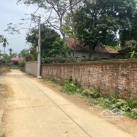 Chính Chủ Cần Bán 2700M2 800Tc Gần Đường Tỉnh Lộ 446 Đường Ôtô Tránh Nhau Chủ Cần Bán Giá Hơn 5 Triệu/M
