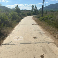 Bán Lô Đất Thổ Cư Xã Ninh Tân, Thị Xã Ninh Hòa, Tỉnh Khánh Hòa