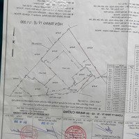 Cần Bán Gấp 10.000M² Đất Mặt Sông Quy Đức, Bình Chánh Giá Chỉ 18 Tỷ, Đường Ô Tô, Mặt Tiền Sông 100M