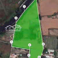 Cần Bán Gấp 10.000M² Đất Mặt Sông Quy Đức, Bình Chánh Giá Chỉ 18 Tỷ, Đường Ô Tô, Mặt Tiền Sông 100M