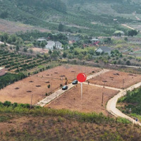 F0: 120M2 - 200M2 Tại Trung Tâm Gia Lâm - Ven Tp Đà Lạt, Gần Sân Bay, Giá F0 Chỉ 570 Triệu