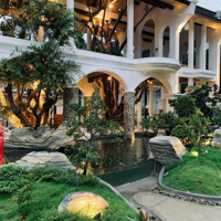 Chỉ 150 Triệu/M2, Siêu Rẻ Mặt Tiền Dương Quảng Hàm, 5530M2, Diện Tích: 10X50M, Dòng Tiền 2 Tỷ/Tháng
