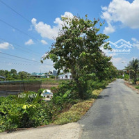 Bán Đất 150M2 Tại Đt 830, Đông Thạnh, Cần Giuộc, Ngay Trường Đông Thạnh. 310 Triệu, Shr, Full Thổ
