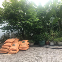 Bán Đất Khu Đường 49 - Bình Trưng Đông - Gần Chọ Tân Lập