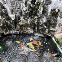 Bán Nhà Thanh Nhàn, Hai Bà Trưng .Diện Tích67M2 6T Mặt Tiền 7M. Giá: 24 Tỷ. Lh :0383426696