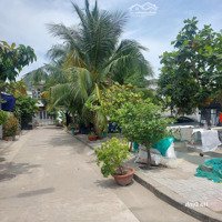 Chỉ 3.1 Tỷ Sở Hữu 80M2 Ngay Công Viên. Đường 5M Thông Lý Thái Tổ, Nguyễn Dữ. Vĩnh Hòa Nha Trang
