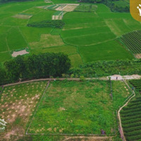 Tĩnh Xứ - 700M2,Mặt Tiền25M - Tb Giá Bán 2.3 Triệu/M2 Tại Tp. Phổ Yên, Tỉnh Thái Nguyên