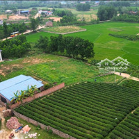 Tĩnh Xứ - 700M2,Mặt Tiền25M - Tb Giá Bán 2.3 Triệu/M2 Tại Tp. Phổ Yên, Tỉnh Thái Nguyên
