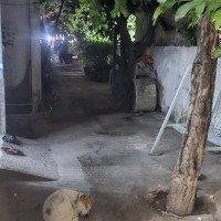 Bán Nhà Riêng Tại 59, Phạm Văn Chiêu, Gò Vấp, Hcm, Giá Cực Chất Chỉ Với 7,6 Tỷ, 54.1M2