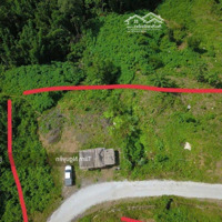 Quá Rẻ Dành Cho Các A Chị Ưa Khám Phá, Trải Nghiệm
5000 M2 Bám Đường Nhựa, Cao Thoáng Săn Mây