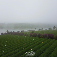 Bán Đất Hồ Phúc Thọ, Lâm Hà, Lâm Đồng