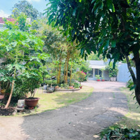 Cho Thuê Biệt Thự 1100M² Mặt Tiền Dân Cư Kinh Doanh Đông Đúc Thảo Điền,Nhà Hàng, Cà Phê, Kinh Doanh