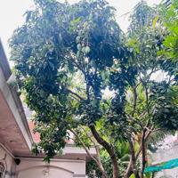 Cho Thuê Biệt Thự 1100M² Mặt Tiền Dân Cư Kinh Doanh Đông Đúc Thảo Điền,Nhà Hàng, Cà Phê, Kinh Doanh