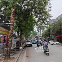 Cần Bán Gấp Mặt Phố Lô Góc Văn Phú Hà Đông, 2 Mặt Tiền Rộng 29M, 129M2, Giá Bán 40 Tỷ