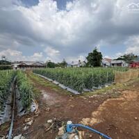 Bán 8663m2 có 5600m2 ONT xã Liên Hiệp, huyện Đức Trọng, tỉnh Lâm Đồng giá 30 tỷ