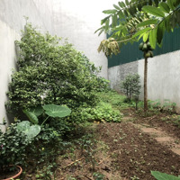 Bán Đất Tư Đình Siêu Rẻ, Ô Tô 7 Chổ, Gần Phố, 100,4 M2, Giá Chỉ 9 Tỷ