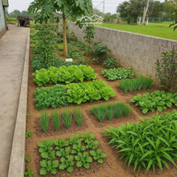 Bán Đất 325M2 Tại Xã Vân Hòa, Ba Vì, Hà Nội, Giá Tốt