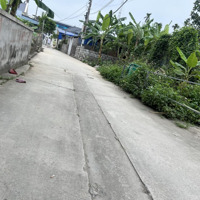 Chuyển Nhượng Nhanh Lô Đất Ngõ Ô Tô Vào Đất Tại Hoa Động, Tp Thuỷ Nguyên, Hải Phòng