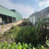 3Tỷ 800 Triệu Sở Hữu Ngay Lô Đất 100M2 Mặt Tiền Đường Phạm Thị Tánh, Hưng Long, Bình Chánh, Tphcm