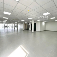 Tòa Nhàmặt Tiềnngay Trần Hưng Đạo, Quận 5, 8X21M, Hầm + 7 Tầng - Hđt: 220 Triệu, Giá Bán 68 Tỷ
