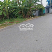 8Tỷ 500 Triệu Có Ngay Nhà 219M2 Mặt Tiền Đường Phạm Thị Tánh, Xã Hưng Long, Huyện Bình Chánh, Tphcm