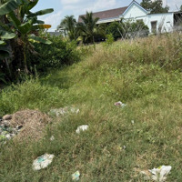 Bán Gấp Lô Đất Vườn 450M2, Mặt Tiền Phạm Thị Tánh, Xã Hưng Long, Huyện Bình Chánh, Tphcm Giá Bán 9Tỷ