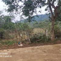 4286M2 Đất Trích Lục Thổ Cư Cây Lâu Năm. Bám Suối View Toàn Cảnh 360 Giá Chỉ 1, X Tr M2