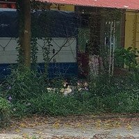 Bán 90M Mt6.5M Cạnh Vinhomes Vỉa Hè Kd Ô Tô Chánh Nhỉnh 7Ty Th.lương 0961503168