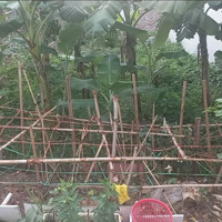Bán Đất Tại Thôn Đông Lai, 2,58 Tỷ, 100,5 M2, Sóc Sơn, Hà Nội