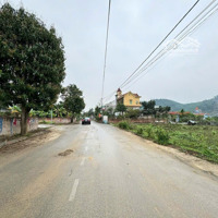 View Hồ Lý Tưởng 500M2 Đông Xuân